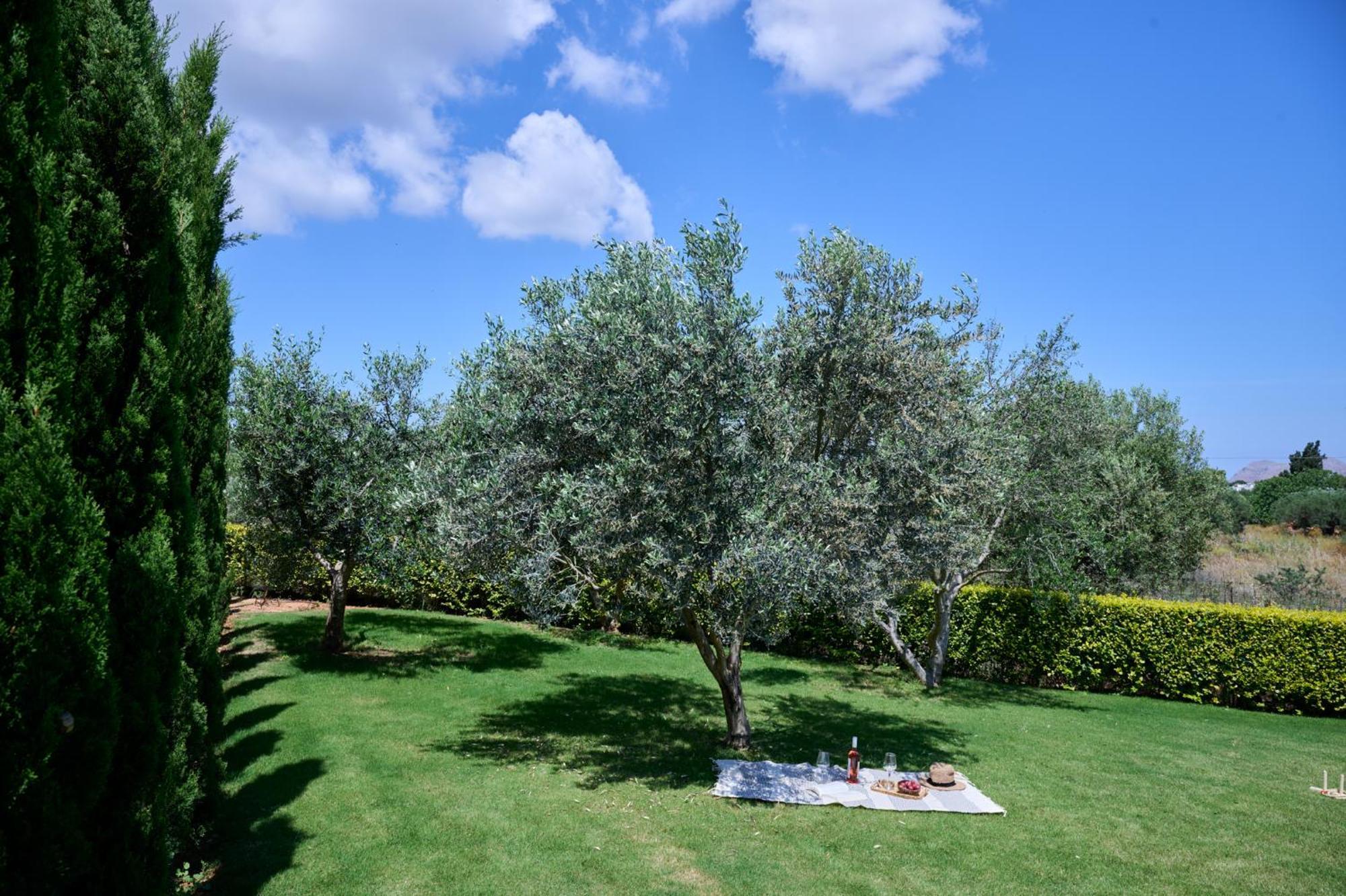 Kyamon Estate Luxury Villa Chania  Exteriör bild