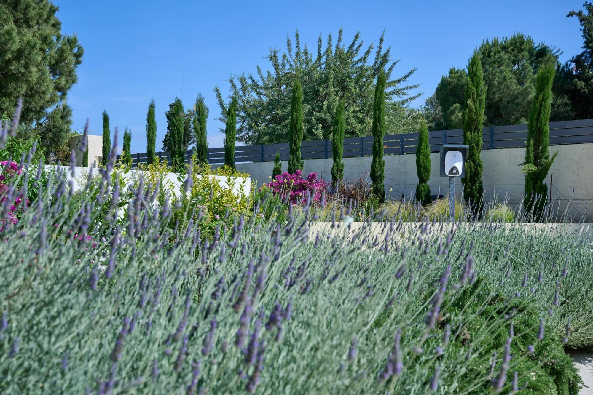 Kyamon Estate Luxury Villa Chania  Exteriör bild